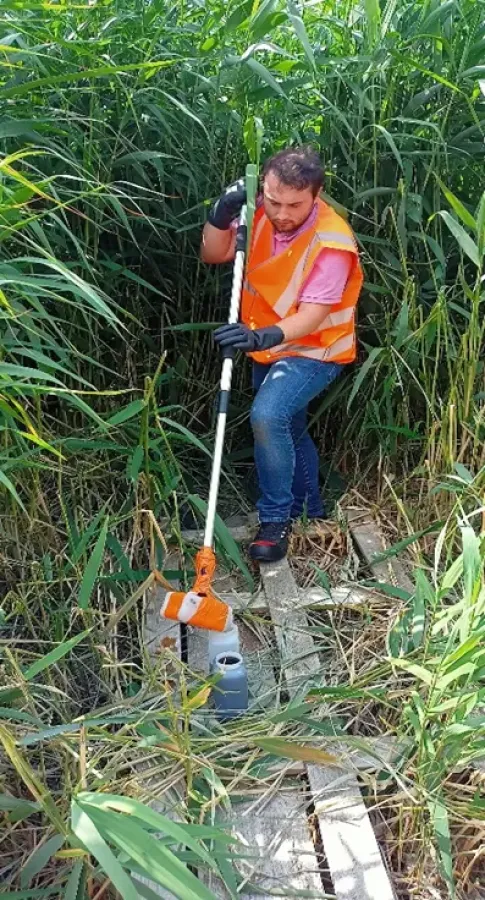 Prélèvement d’eau en sortie de lit de roseaux